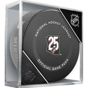 InGlasCo Fanúšikovský puk NHL Game 20th Anniversary (1ks), Florida Panthers